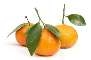 Stem and Leaf Tangerines (per pound)